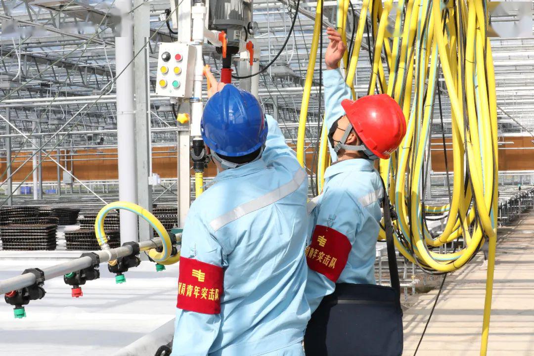 草海機場最新動態(tài)揭秘，建設進展、航班信息及未來展望