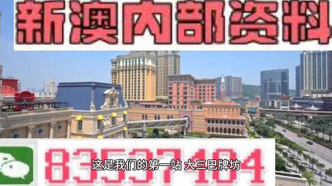 2024新澳精準(zhǔn)資料免費提供,澳門內(nèi)部,深入研究執(zhí)行計劃_WDX23.381攜帶版