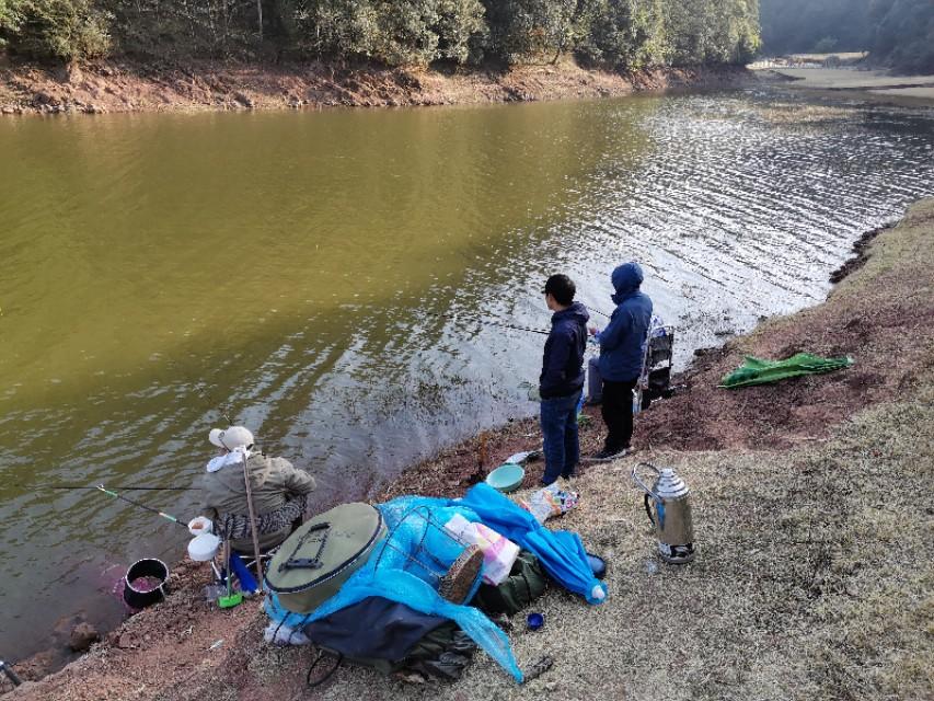 最新水庫釣魚視頻，探索釣魚樂趣與技巧全攻略