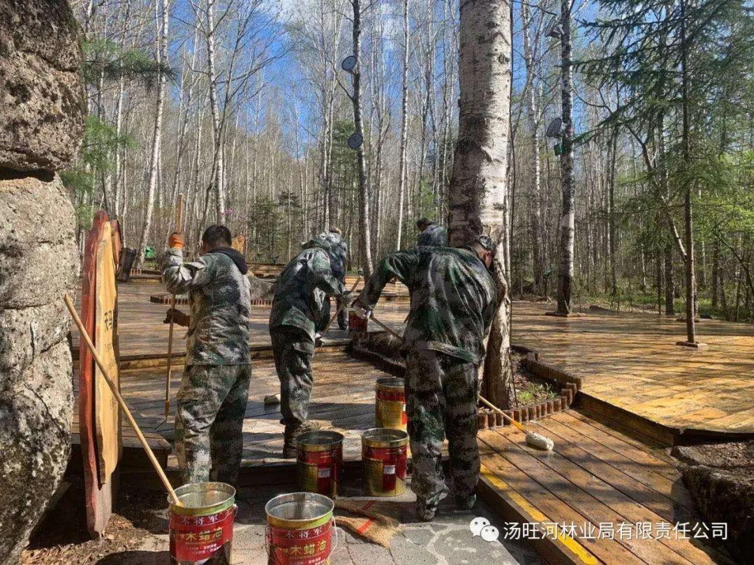 探尋神秘寶石世界的獨特魅力，最新奇石新聞報道