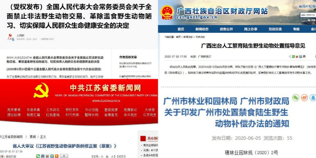 管家婆精準期選一肖福利活動,實際調(diào)研解析_BDE27.204跨界版