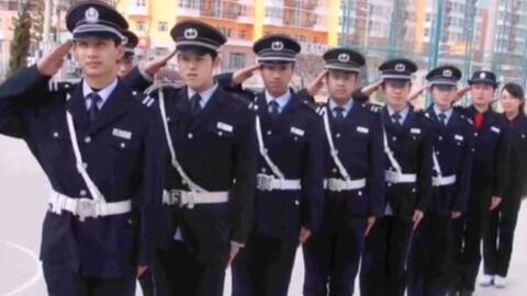 寧國最新保安招聘及其探討，行業(yè)現(xiàn)狀與發(fā)展趨勢分析