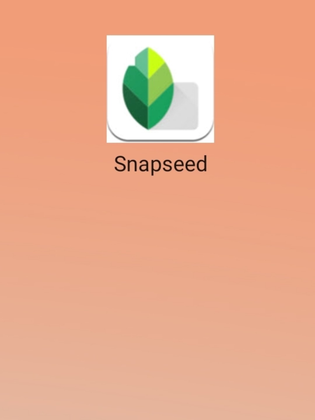 最新snapseed中文版，科技重塑影像，讓生活因攝影更精彩