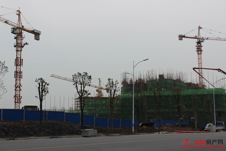 池州麒麟公館最新動(dòng)態(tài)揭秘，最新進(jìn)展與資訊更新