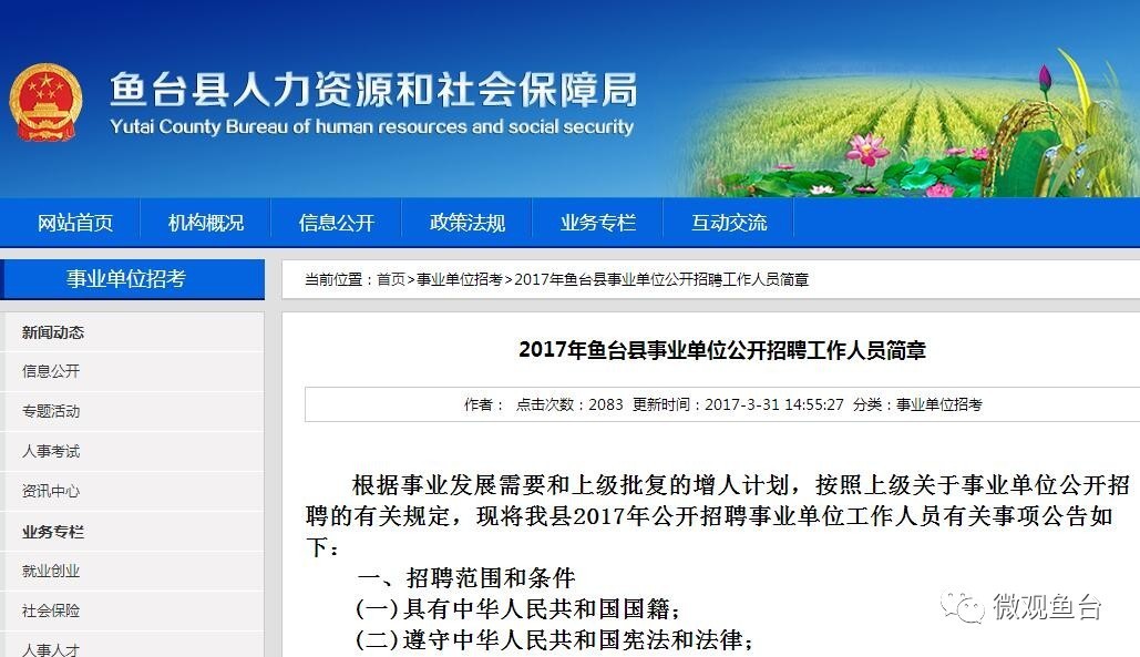 魚(yú)臺(tái)最新招聘信息大全，求職步驟指南與招聘信息更新速遞