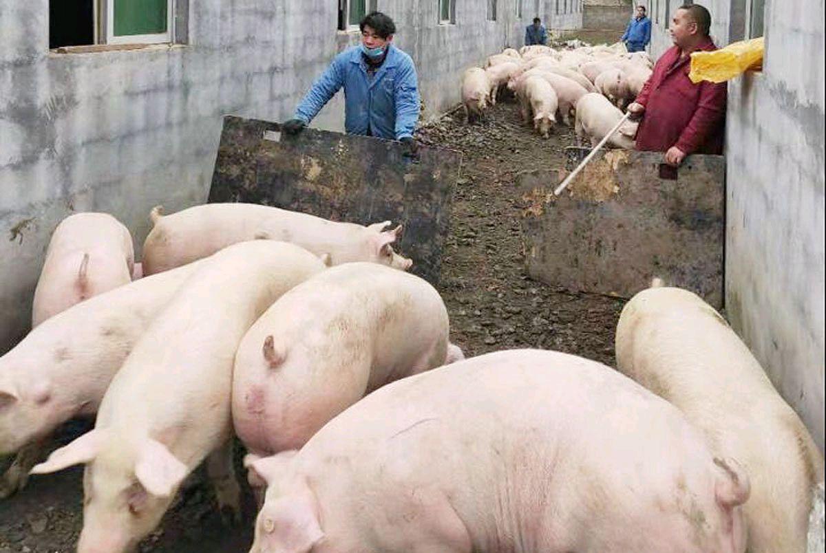 工程廠房燈具 第283頁