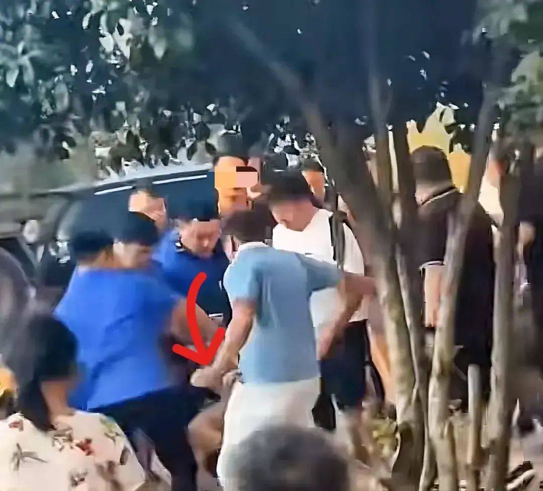 一打假博主團(tuán)隊(duì)遭商戶圍毆,農(nóng)林經(jīng)濟(jì)管理_CNC9.631內(nèi)容版