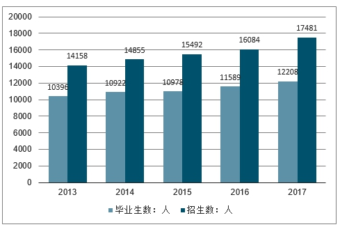 市場趨勢深度解讀及策略建議探討