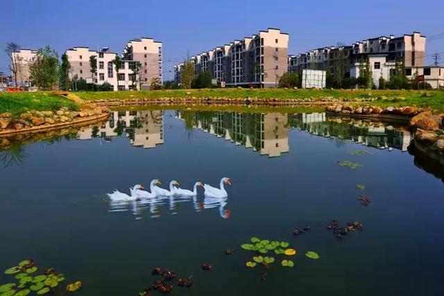 萍鄉(xiāng)安源湖，最新動態(tài)揭示湖畔變革與自我超越之旅