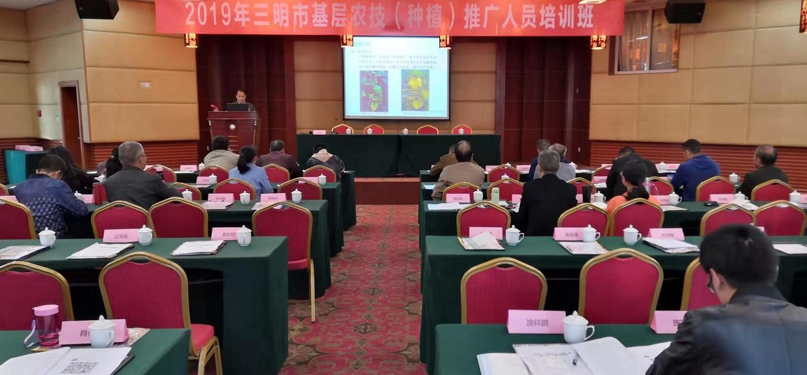 豇豆最新，廚房中的友情與家的溫馨