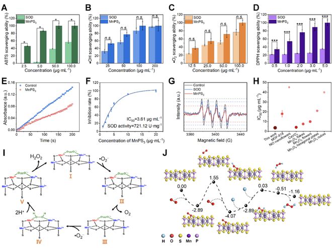 頭發(fā)再生研究新動(dòng)態(tài),頭發(fā)再生研究新動(dòng)態(tài)，小巷深處的秘密秀發(fā)實(shí)驗(yàn)室