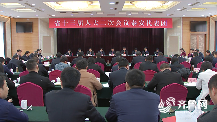 泰安市委最新領導陣容及其影響分析概述