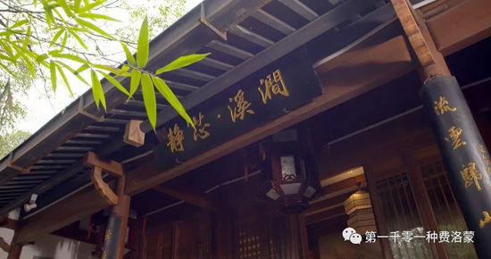 高密西湖茶樓最新資訊，一壺茶，品味溫情時光