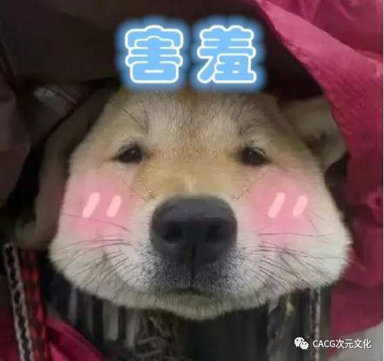 最新狗狗動畫大盤點(diǎn)