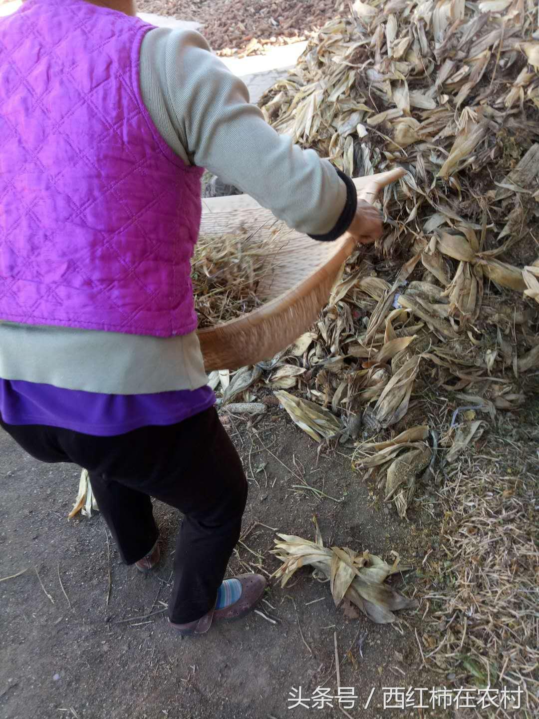 彬縣撤縣設(shè)區(qū)最新進(jìn)展，最新動(dòng)態(tài)更新