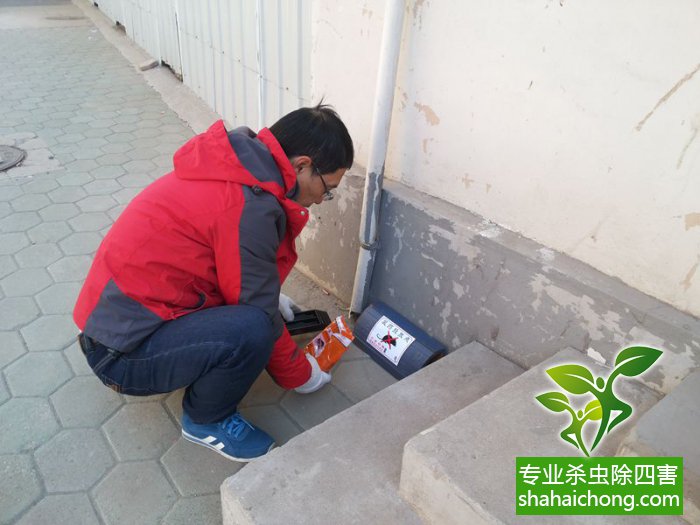 最新滅鼠技術(shù)的觀點(diǎn)論述與立場闡述，創(chuàng)新方法的探索與挑戰(zhàn)