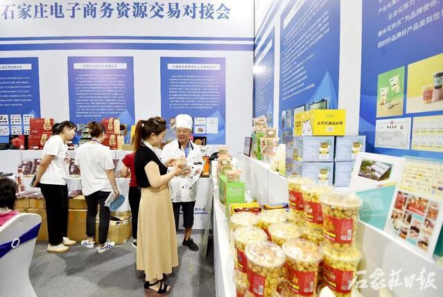 石家莊保稅區(qū)最新資訊，發(fā)展脈絡(luò)、地位影響及最新動態(tài)解析