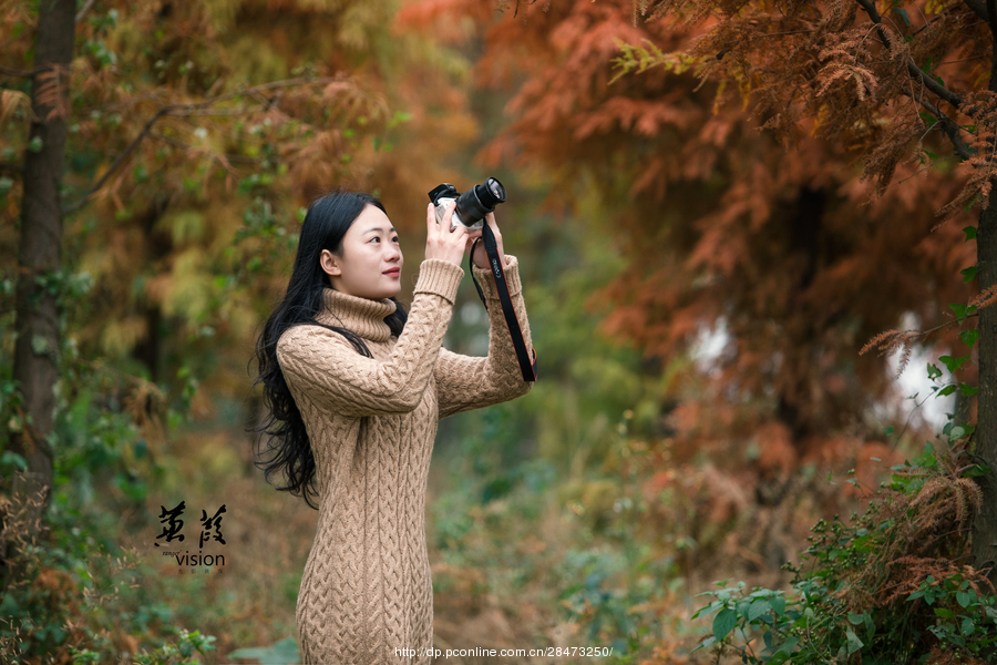 伊人在線電影，探索現(xiàn)代網(wǎng)絡(luò)影視的新境界