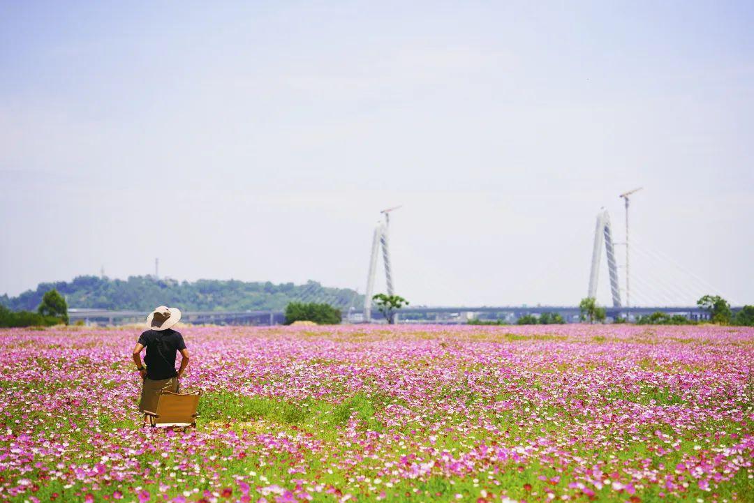 陳小北聚焦科技前沿，引領創(chuàng)新潮流新動態(tài)