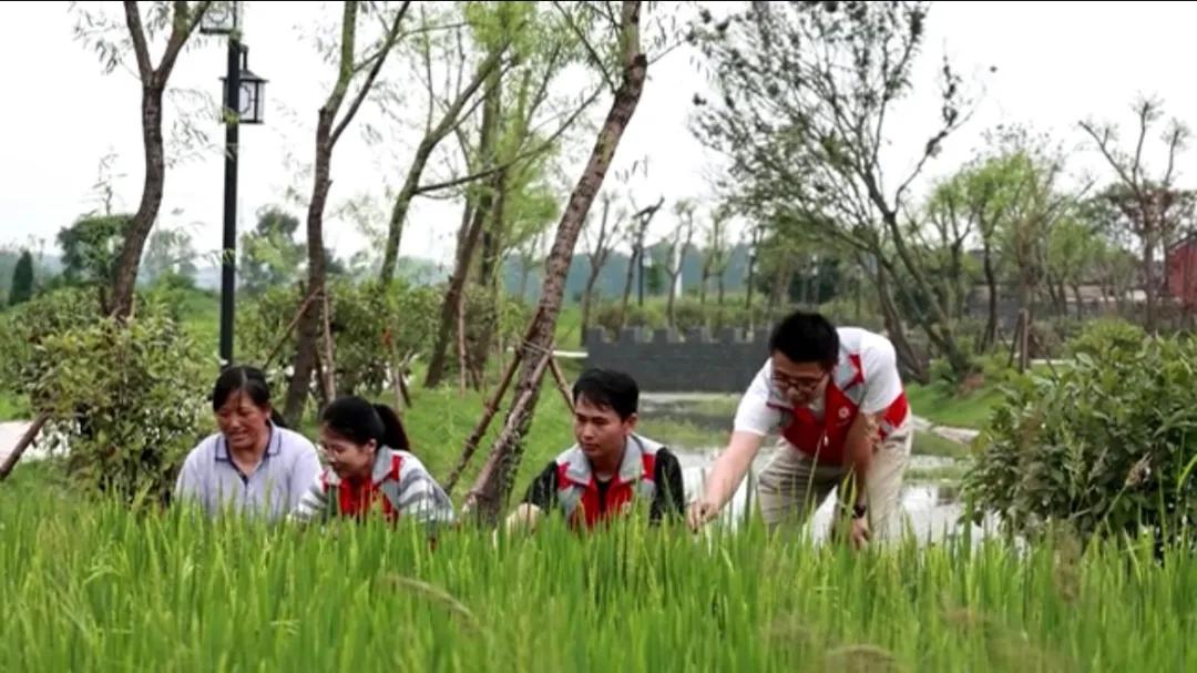 曲陽縣城最新招聘信息揭秘，小巷中的獨特小店等你來探索！