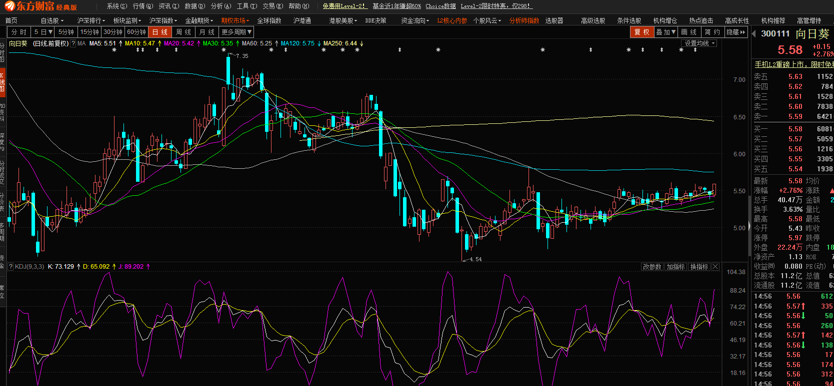 股市小天地，友情大天地——我與股票300141的日常故事分享