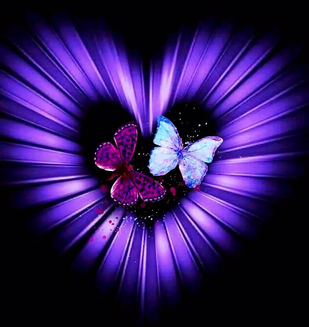 最新情感交流圈，學(xué)習(xí)、成長與自信的力量之源