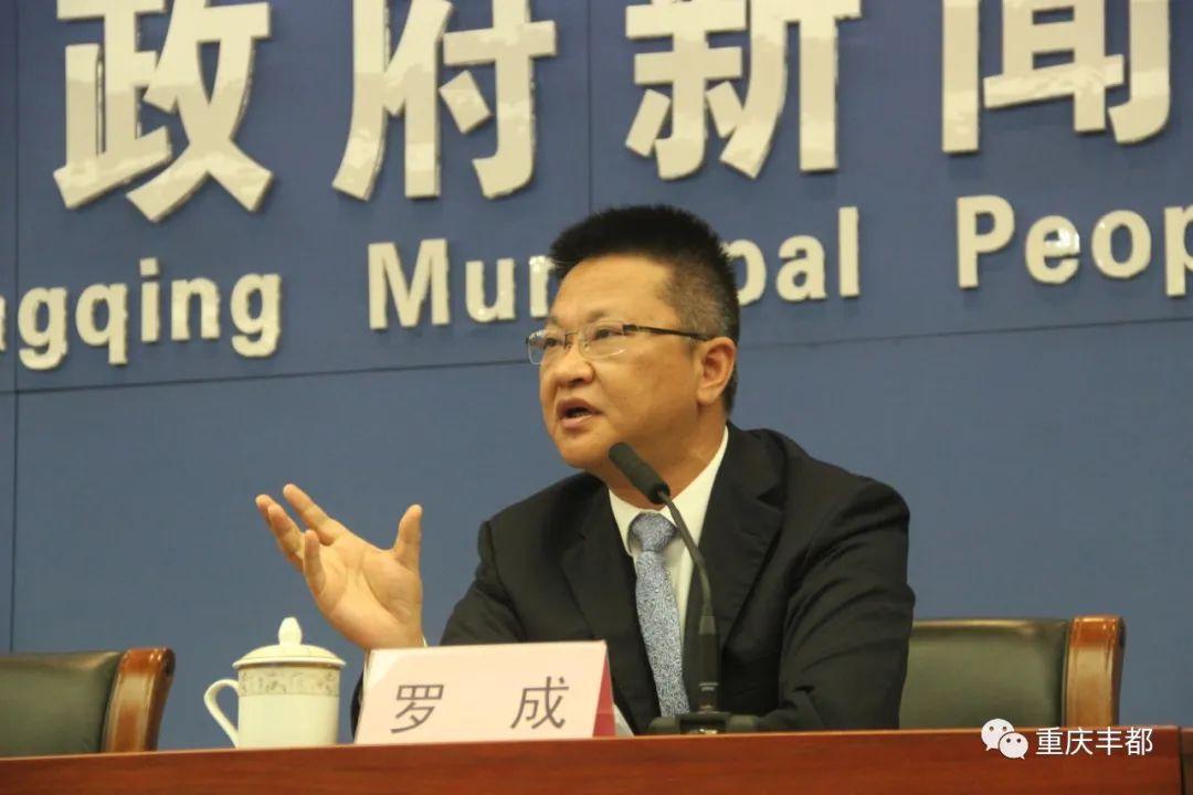 豐都新聞快訊，日常溫情與陪伴的瞬間