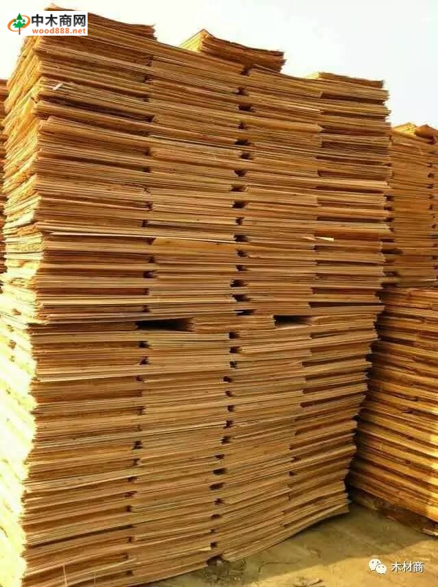 科技革新引領板皮廠行情，開啟板材加工新時代