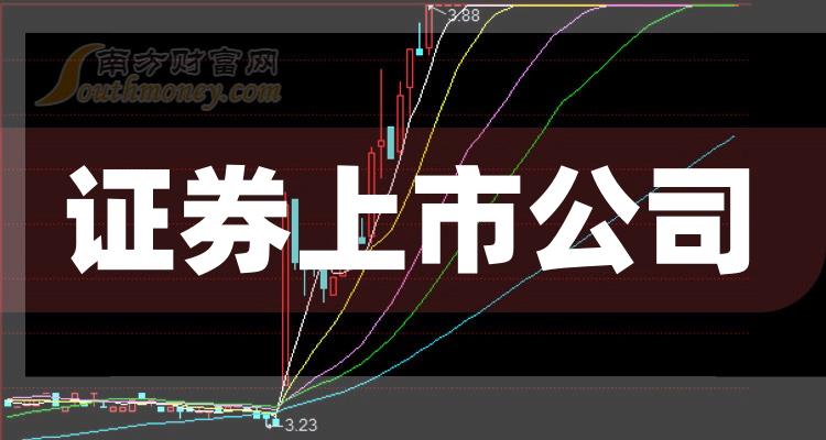 科技巨頭引領(lǐng)下的全新視界，股票上市公司概覽