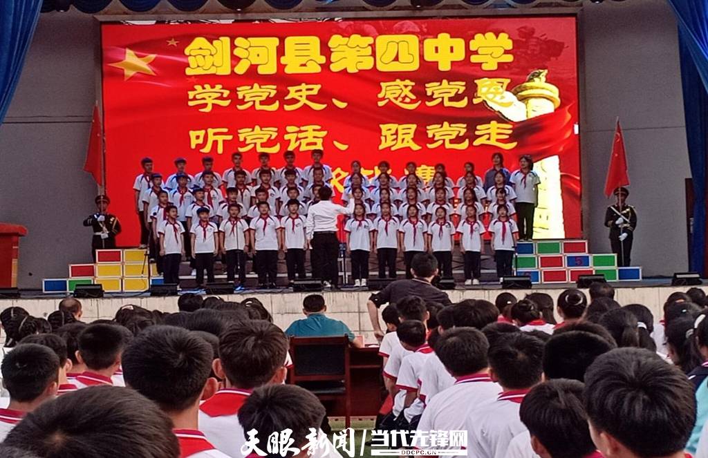 青蛙與狗的泳池挑戰(zhàn)，揭秘游泳比賽背后的故事，青蛙夢工廠的秘密探索