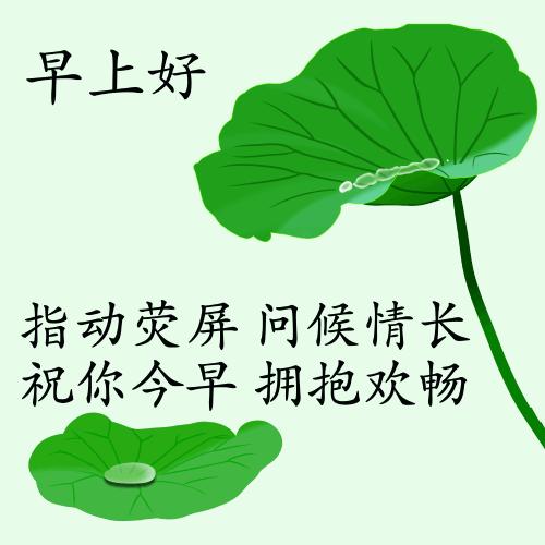 最新疫情動(dòng)態(tài)下的自然探索之旅，追尋內(nèi)心的平和與寧?kù)o