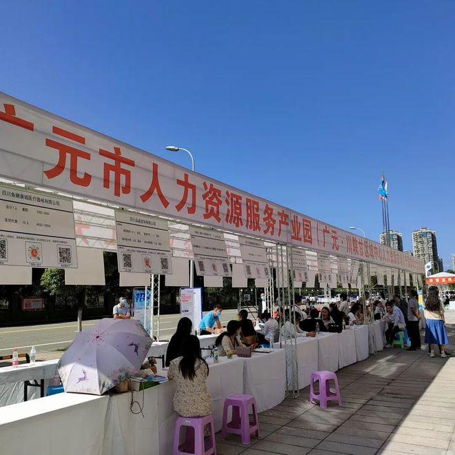 廣元最新招聘資訊詳解，觀點闡述與解析