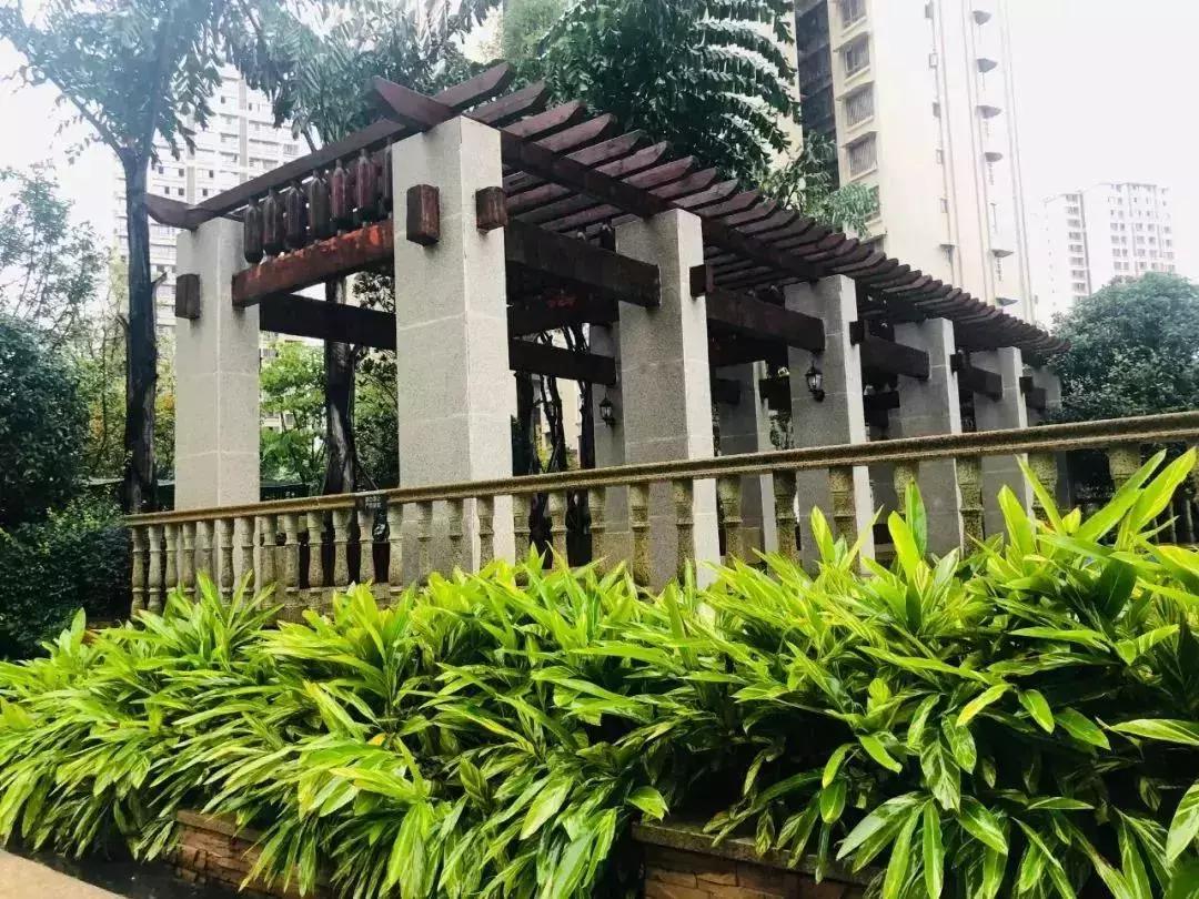 陽光江山金岸最新動(dòng)態(tài)揭秘，全面指南與步驟詳解