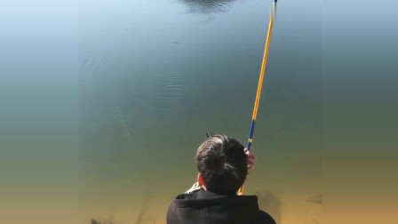 楊柏文最新垂釣視頻，從初學(xué)者到進(jìn)階用戶的技能提升指南