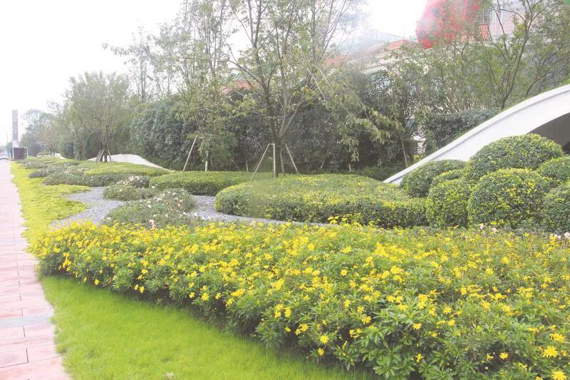 嬢王演員的自然之旅，邂逅美景，尋找內(nèi)心平和之道