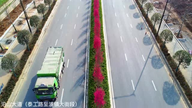 關(guān)花大道最新進(jìn)展，矚目盛景呈現(xiàn)！