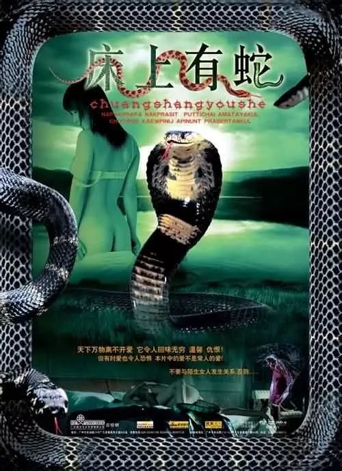 最新蛇片，蛻變的旅程，召喚自信與成就感的冒險(xiǎn)之旅