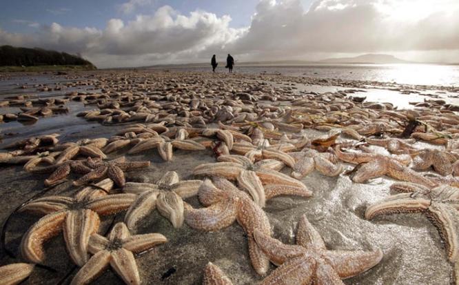 死亡擱淺電影，小巷深處的獨(dú)特觀影之旅