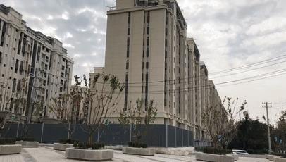 趙村最新動(dòng)態(tài)，鄉(xiāng)村振興新篇章開啟