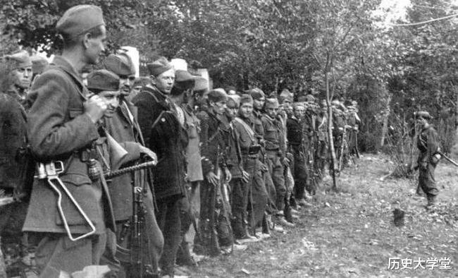 南斯拉夫電影二戰(zhàn)老片，自然美景背后的探索之旅