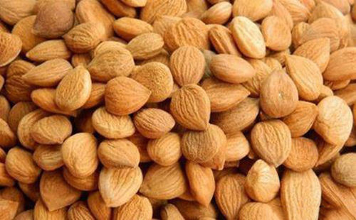 苦杏仁行情深度解析，背景、事件與地位探究