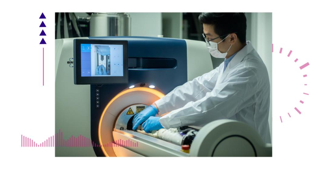 香港脊髓研究取得新進(jìn)展，探索自然美景的心靈之旅新篇章