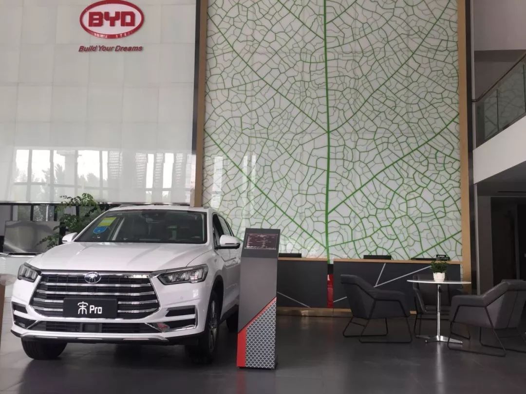 重磅更新，比亞迪最新招聘信息揭秘???