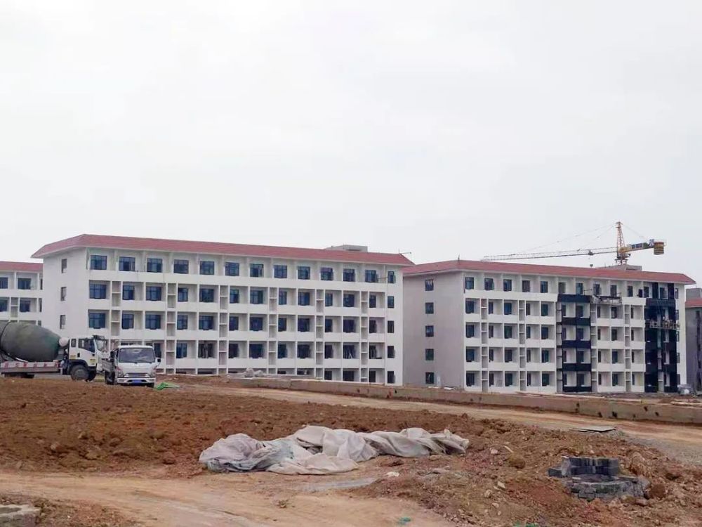 甘谷新聞，大石車禍最新進(jìn)展及觀點(diǎn)論述深度解析