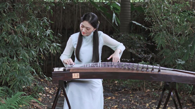 抖音最新琵琶演奏，古典與現(xiàn)代的完美融合之美