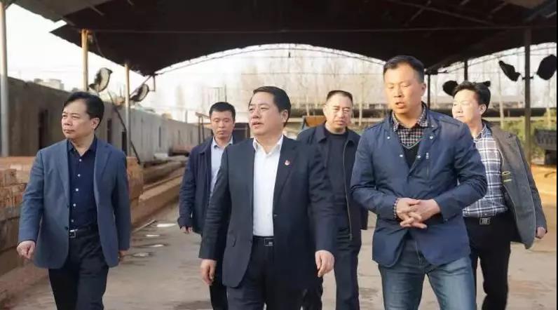 商丘王仲田最新動態(tài)，探索自然美景的旅行，尋求內(nèi)心平和之旅