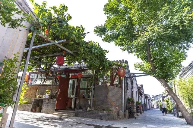 草社區(qū)美食探險(xiǎn)之旅，探尋小巷中的隱藏寶藏與最新地址揭秘