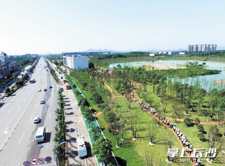 長沙黃橋大道崛起，夢想啟航之路最新動態(tài)