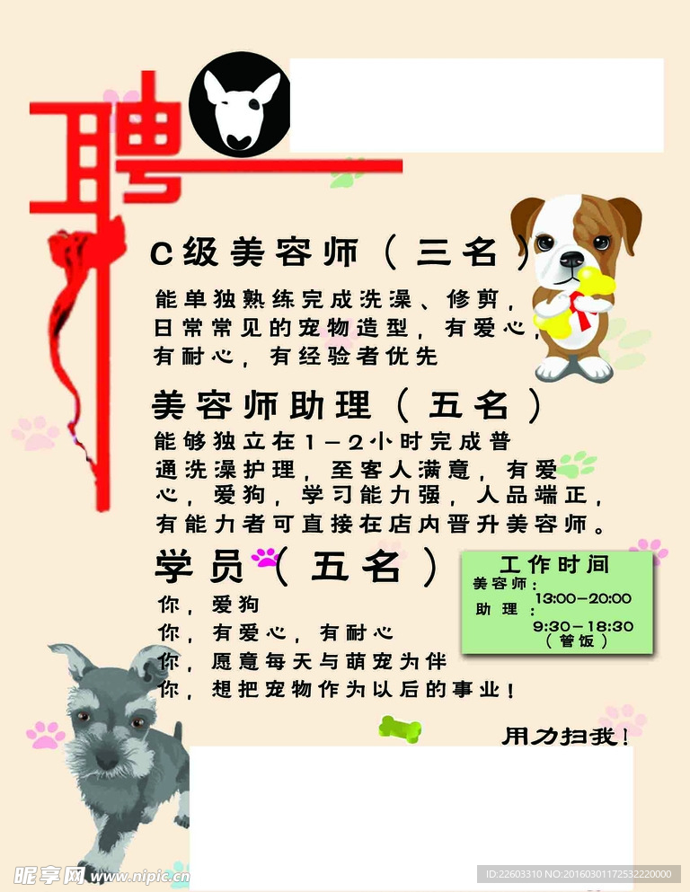 寵物店招聘最新動態(tài)，共探自然之美，尋求內(nèi)心寧靜