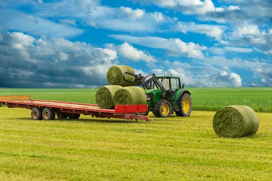 農(nóng)業(yè)最新動(dòng)態(tài)，時(shí)代的脈搏與綠色希望共舞